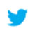 twitter Icon